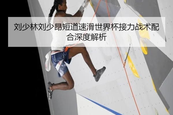 刘少林刘少昂短道速滑世界杯接力战术配合深度解析